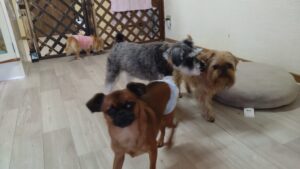 朝のお時間　 2025/2/20