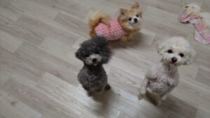 夜のお時間　2025/2/20