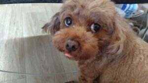 朝のお時間　2025/2/21