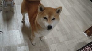 夜のお時間　2025/2/22