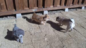 昼までのお時間　2025/2/23