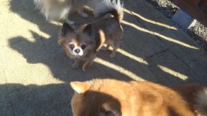 朝のお時間　2025/2/25