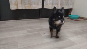 夜のお時間　2025/2/25