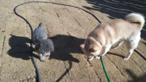 朝のお時間　2025/2/26