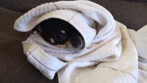 朝のお時間　2025/3/1