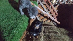 夜のお時間　2025/3/1