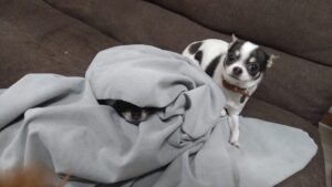 夜のお時間　2025/3/2