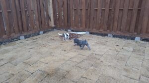 朝のお時間　2025/3/4