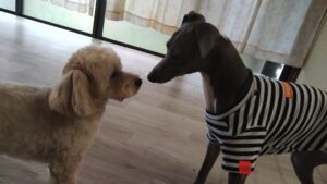 朝のお時間　2025/3/5