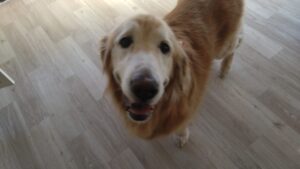 朝のお時間　2025/3/10