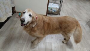 夜のお時間　2025/3/10