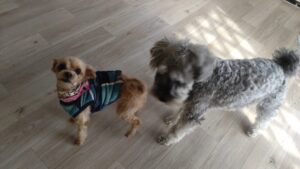 朝のお時間　2025/3/11