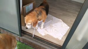 朝のお時間　2025/3/12