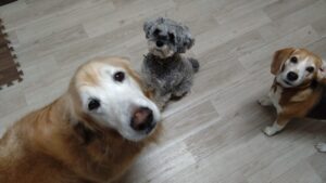 夜のお時間　2025/3/12