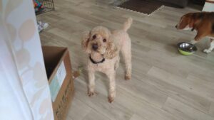 朝のお時間　2025/3/13