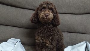 夜のお時間　2025/3/13