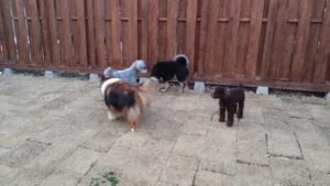 夜のお時間　2025/3/14