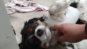 夜のお時間 2025/3/15