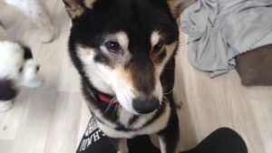 朝のお時間　2025/3/16