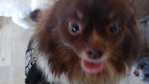 朝のお時間　2025/3/17