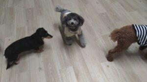 夜のお時間　2025/3/19