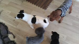 朝のお時間　2025/3/20