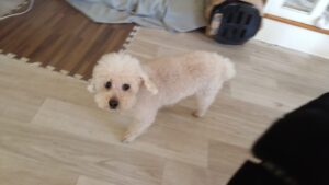 朝のお時間　2025/3/22