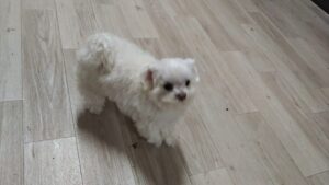 夜のお時間　2025/3/24