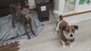 夜のお時間　2025/3/25