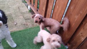 夜のお時間　2025/3/30