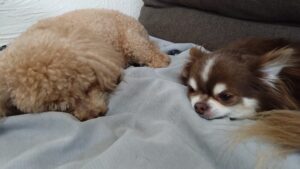 午前のお時間　2025/3/31