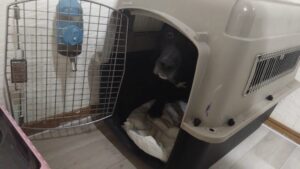 夜のお時間　2025/3/31