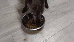 夜のお時間　2025/3/23