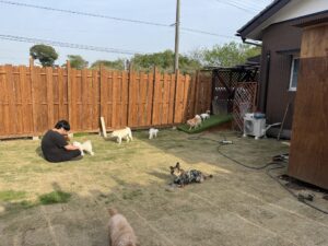 夜のお時間　2025/4/19