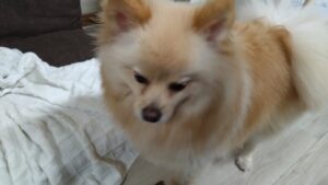 夜のお時間　2025/4/12