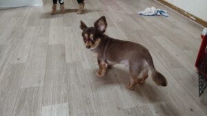 朝のお時間　2025/4/13