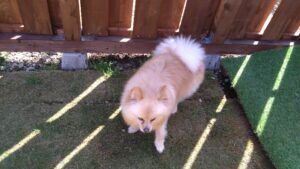 朝のお時間 2025/4/14