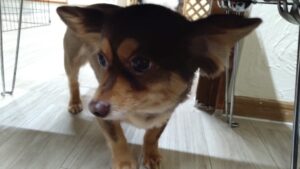 夜のお時間　2025/4/14