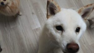 夜のお時間 2025/4/15