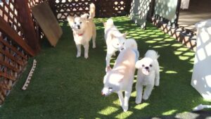 朝のお時間　2025/4/16