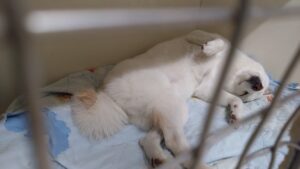 夜のお時間　2025/4/16