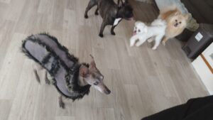 朝のお時間　2025/4/18