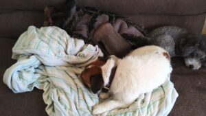 朝のお時間　2025/4/19