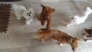 朝のお時間　2025/4/20