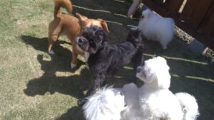 朝のお時間　2025/4/21