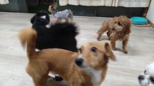 夜のお時間　2025/4/21