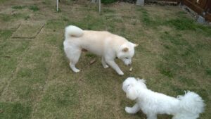 朝のお時間　2025/4/22