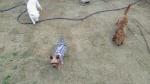 夜のお時間　2025/4/22