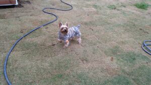 朝のお時間　2025/4/23