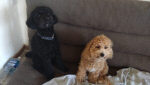 午前のお時間　2025/4/24